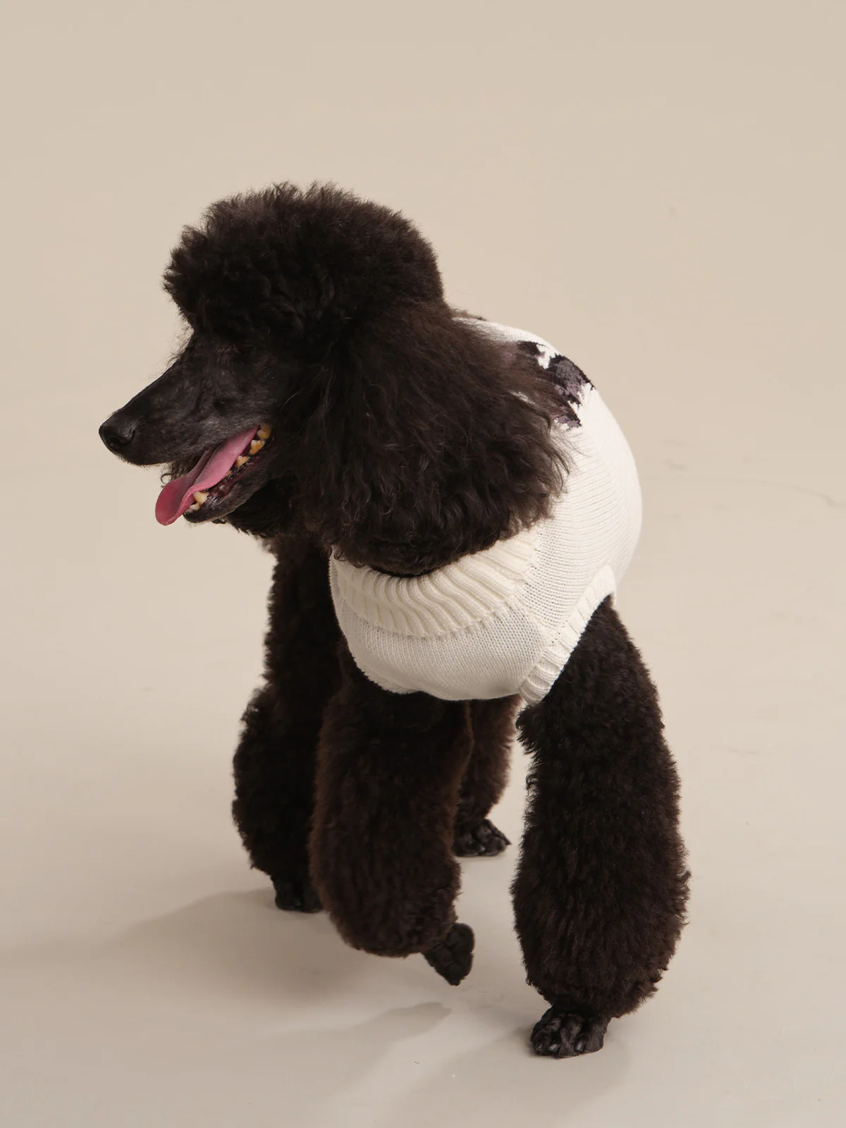 Cotton Poodle Dog Sweater - Image 3
