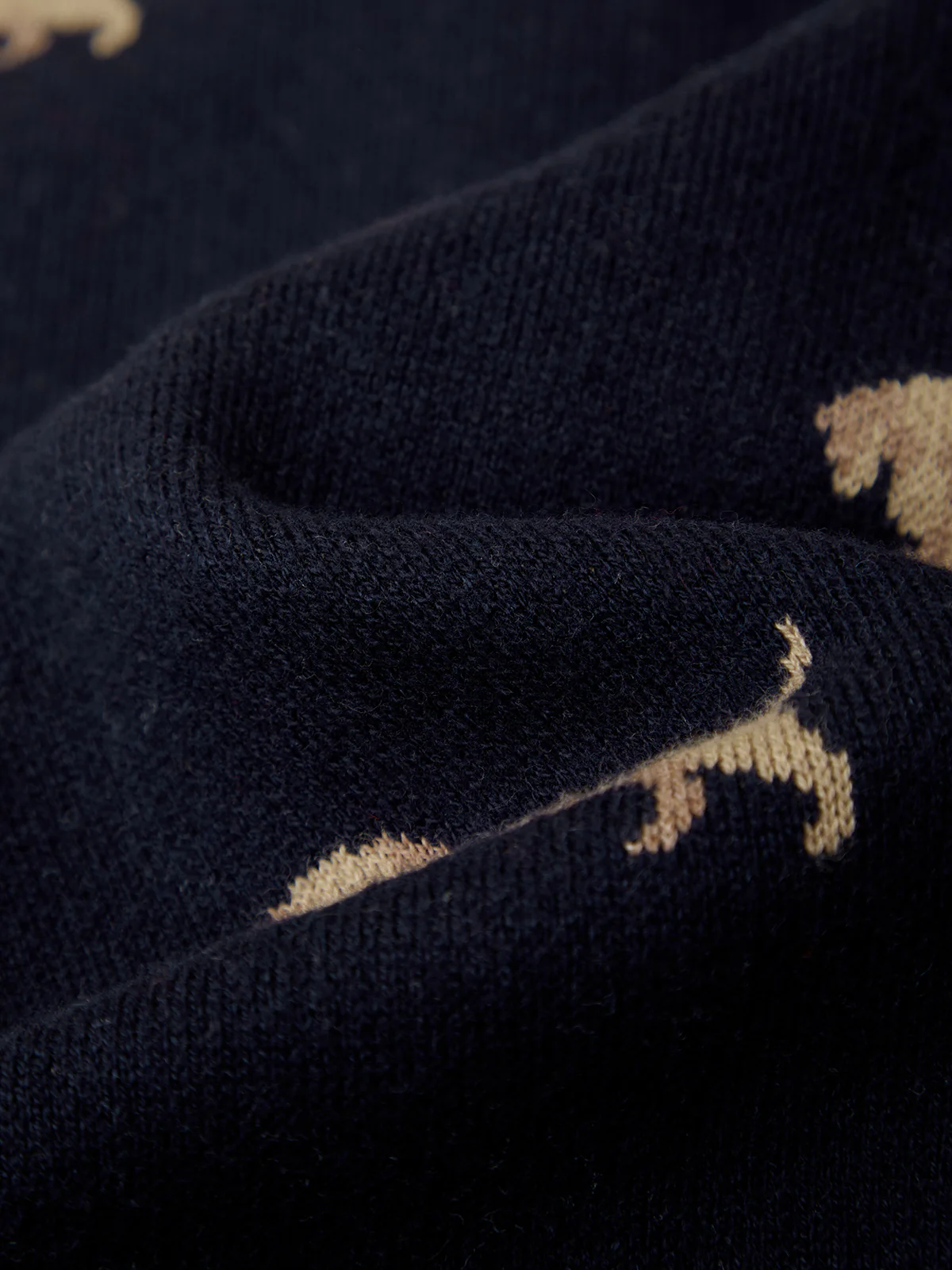 Emy: Dachshund Cardigan - Image 5