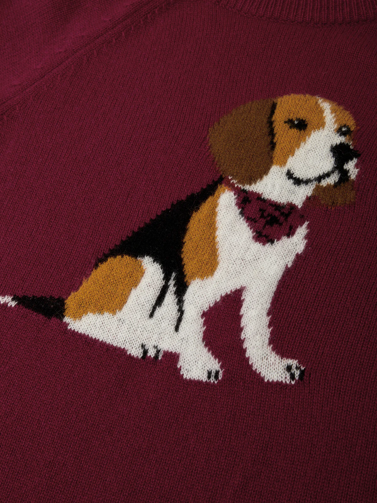 Jane: Cashmere Foxhound Sweater - Image 4